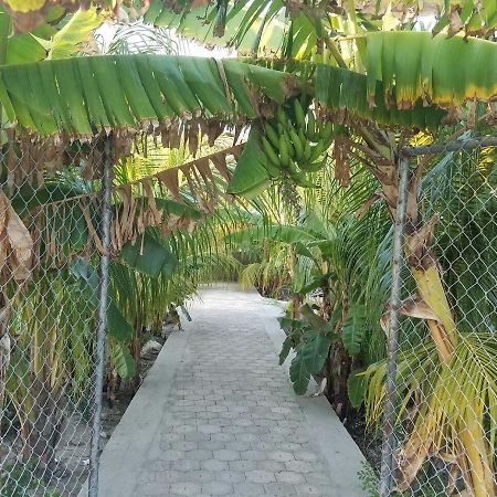 Auberge Pont-Gaudin Gonaives Luaran gambar
